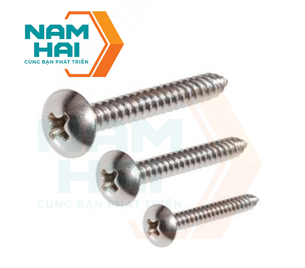 VÍT GỖ ĐẦU DÙ INOX DIN 7984C